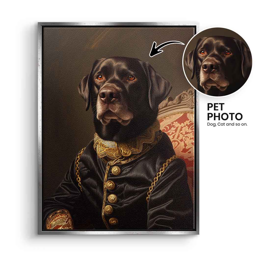 Renaissance 7 customizable