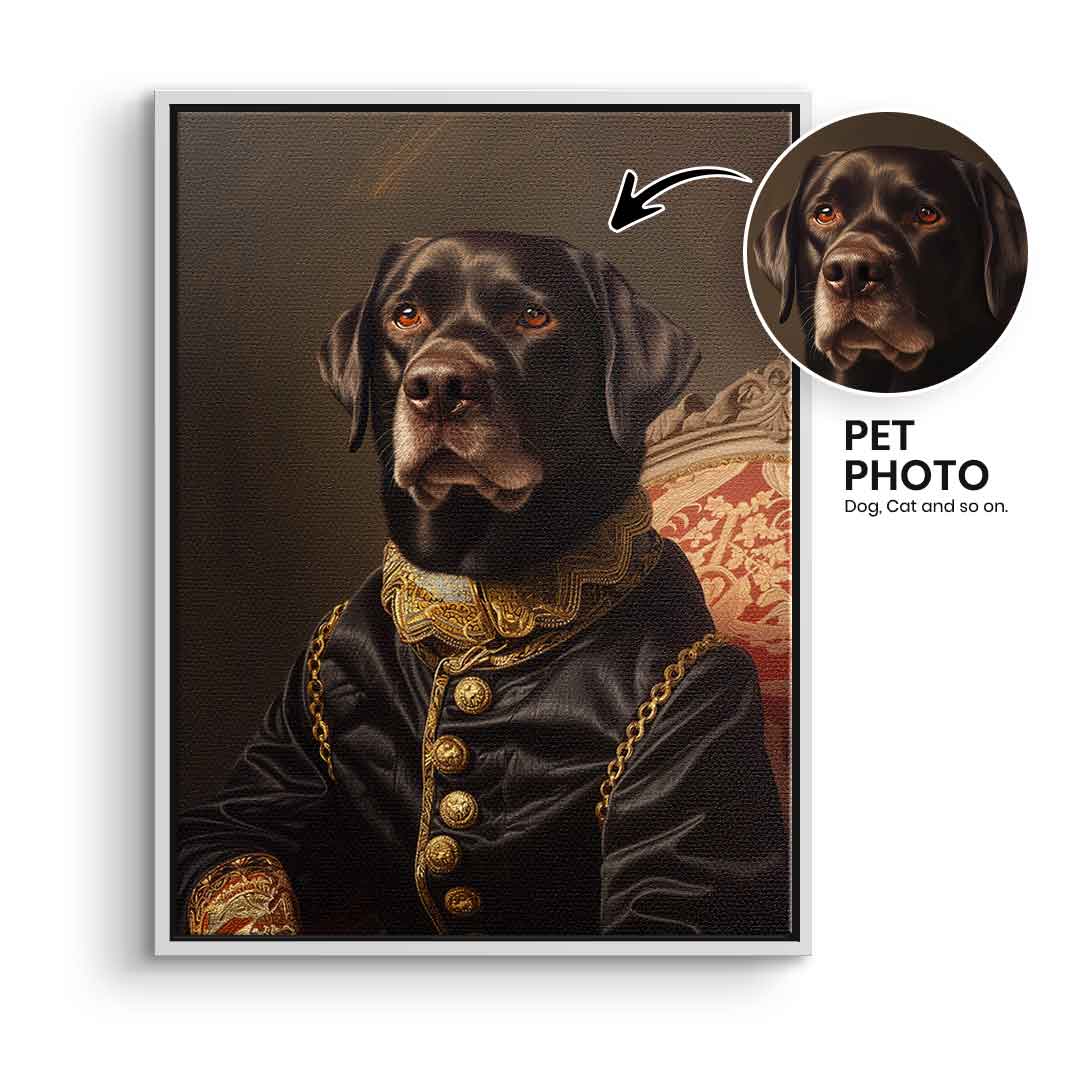 Renaissance 7 customizable