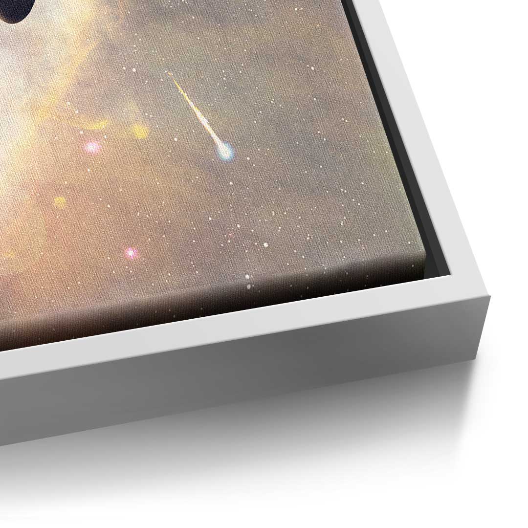 Michelangelo Universe