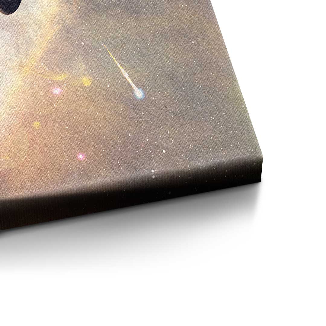 Michelangelo Universe