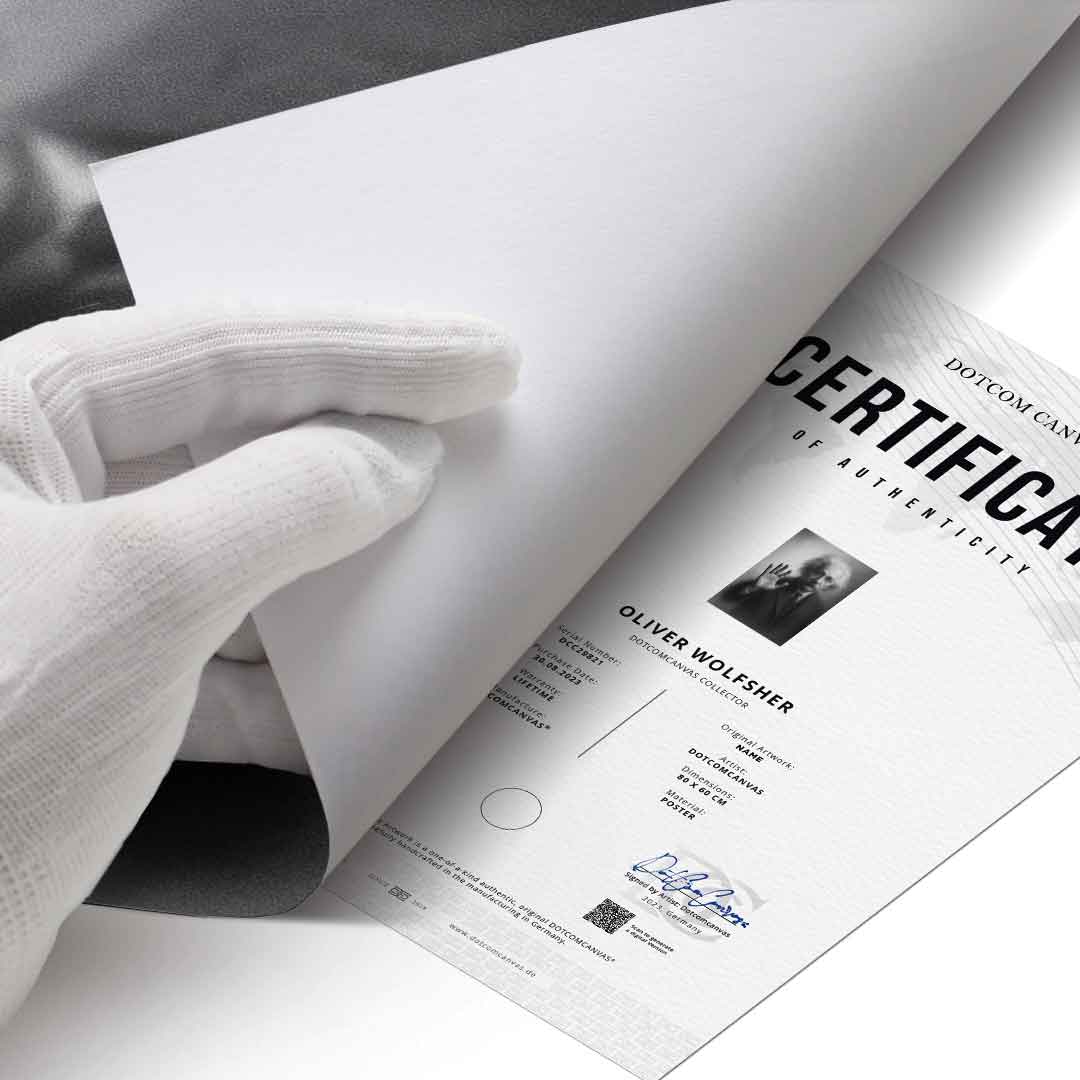 Einstein's Silhouette - Poster