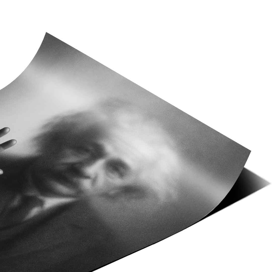 Einstein's Silhouette - Poster