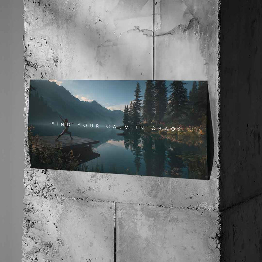 Calm in Chaos - Poster