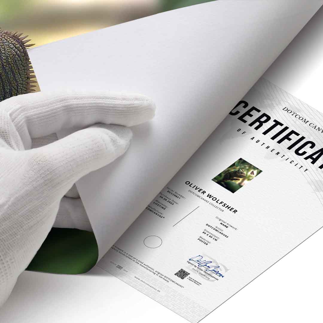 Cameleon Life - Poster