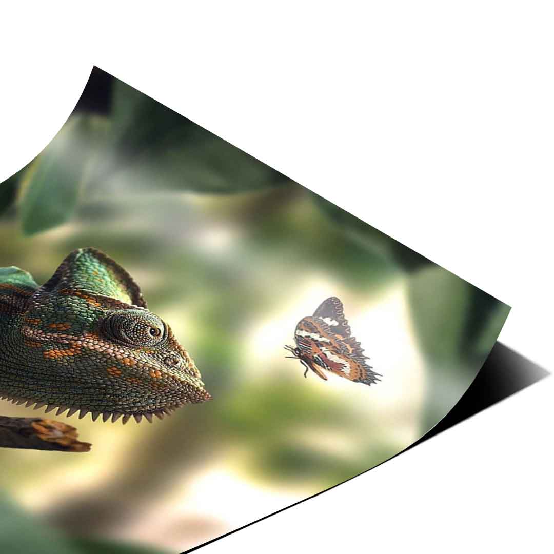 Cameleon Life - Poster