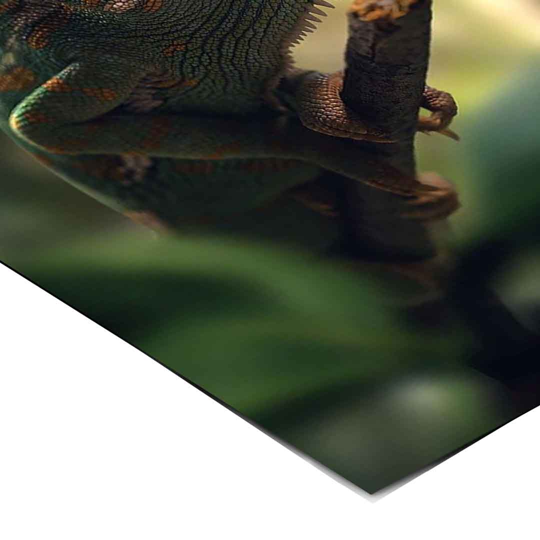 Cameleon Life - Poster