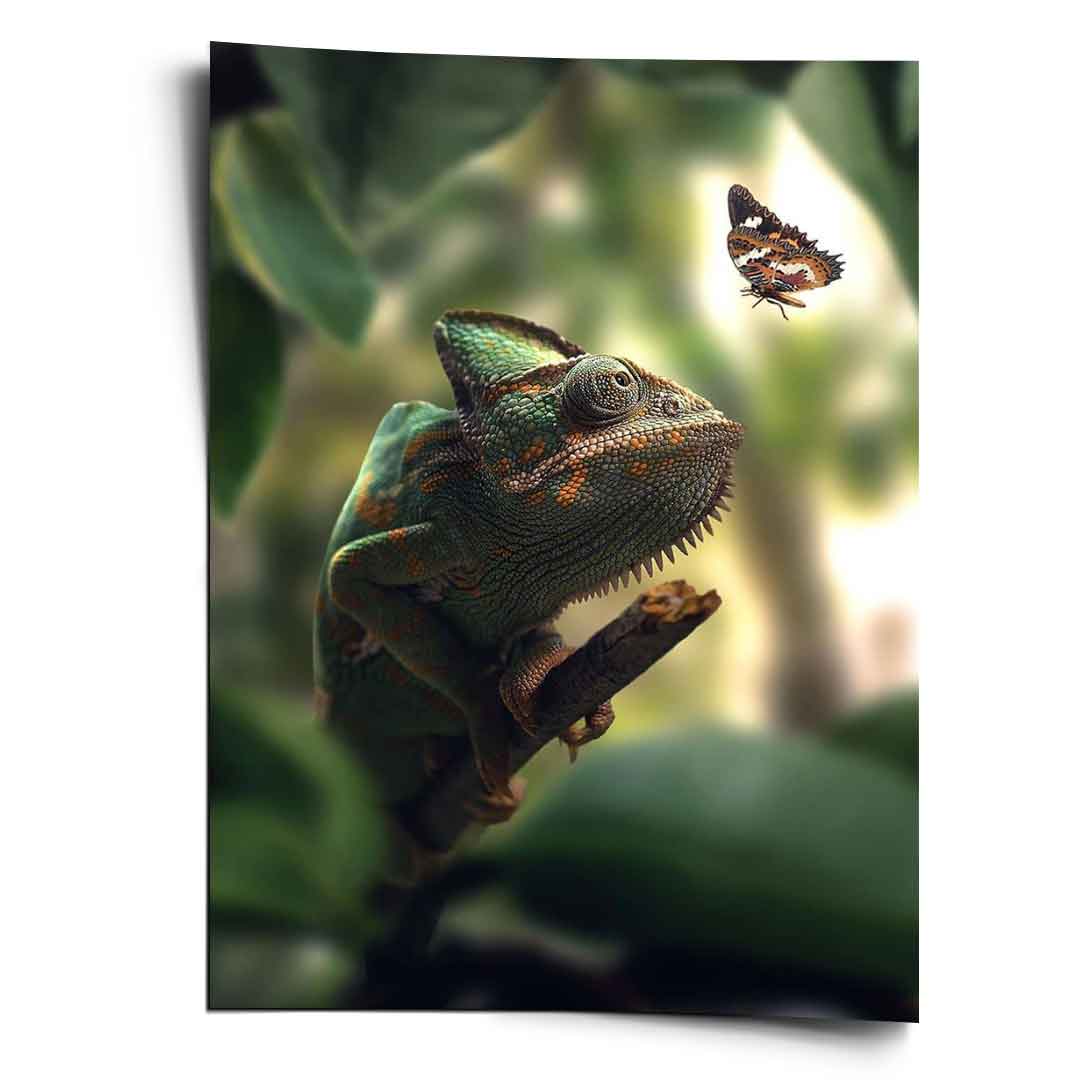 Cameleon Life - poster