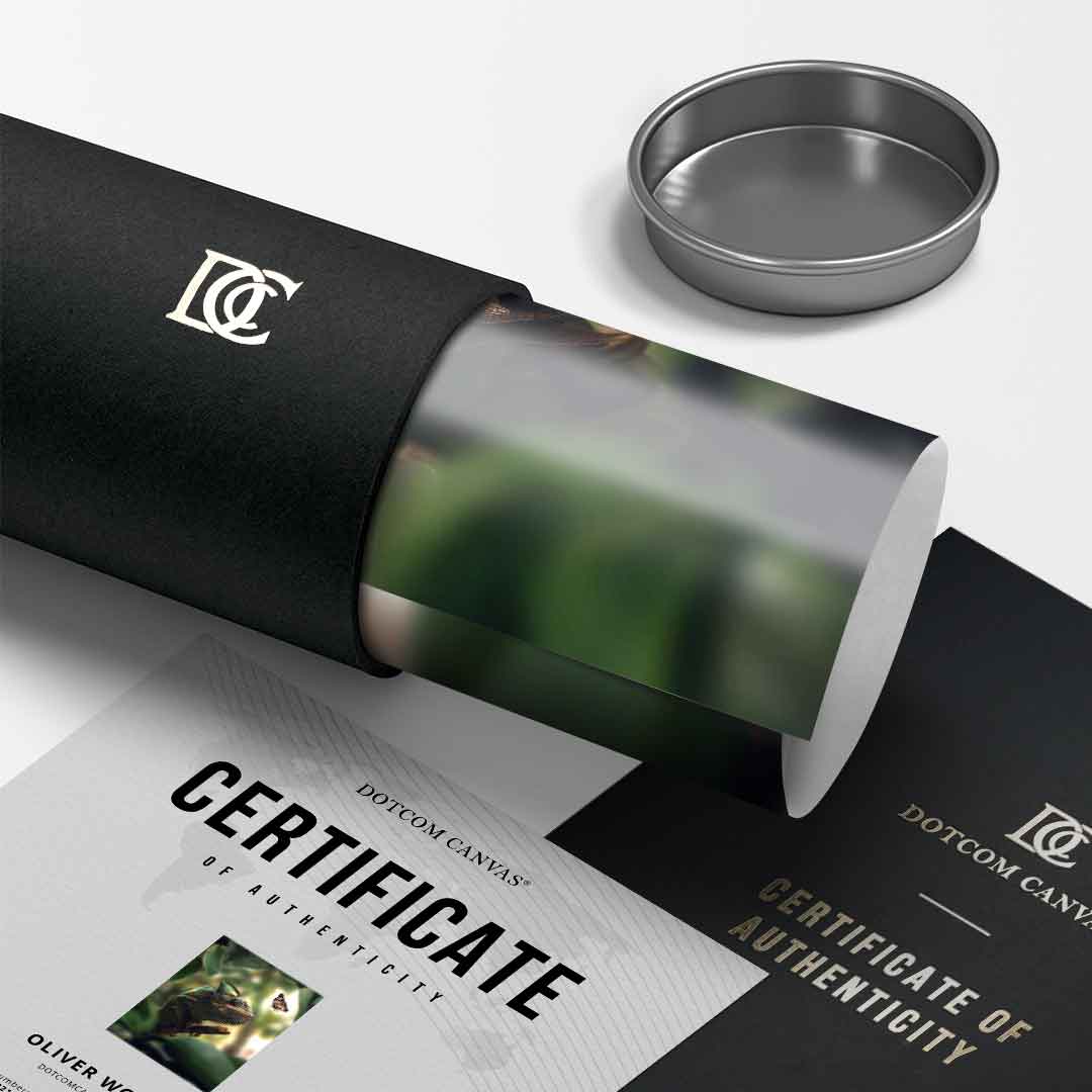 Cameleon Life - Poster