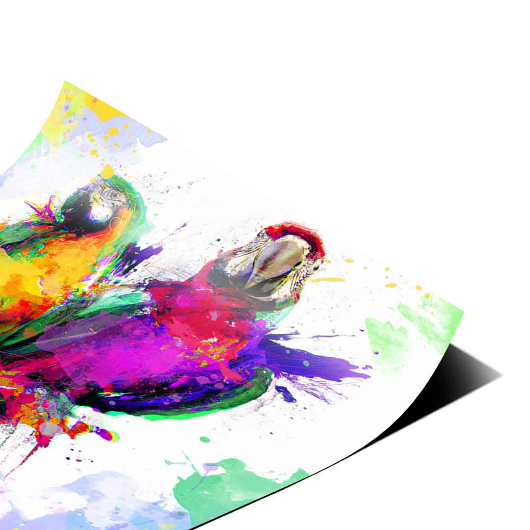 Colorful Parrot - Poster