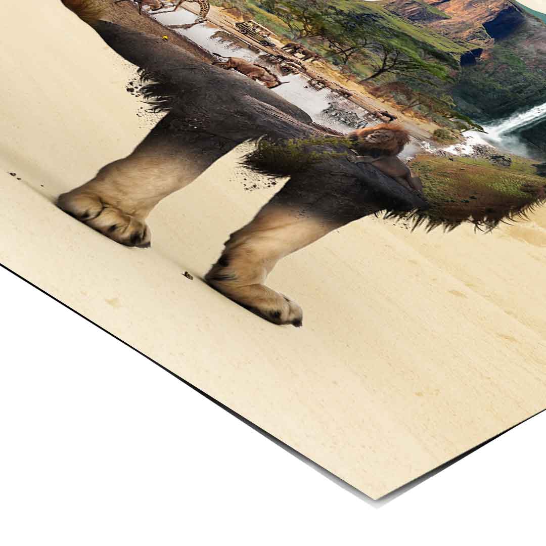 Das Löwenleben - Poster