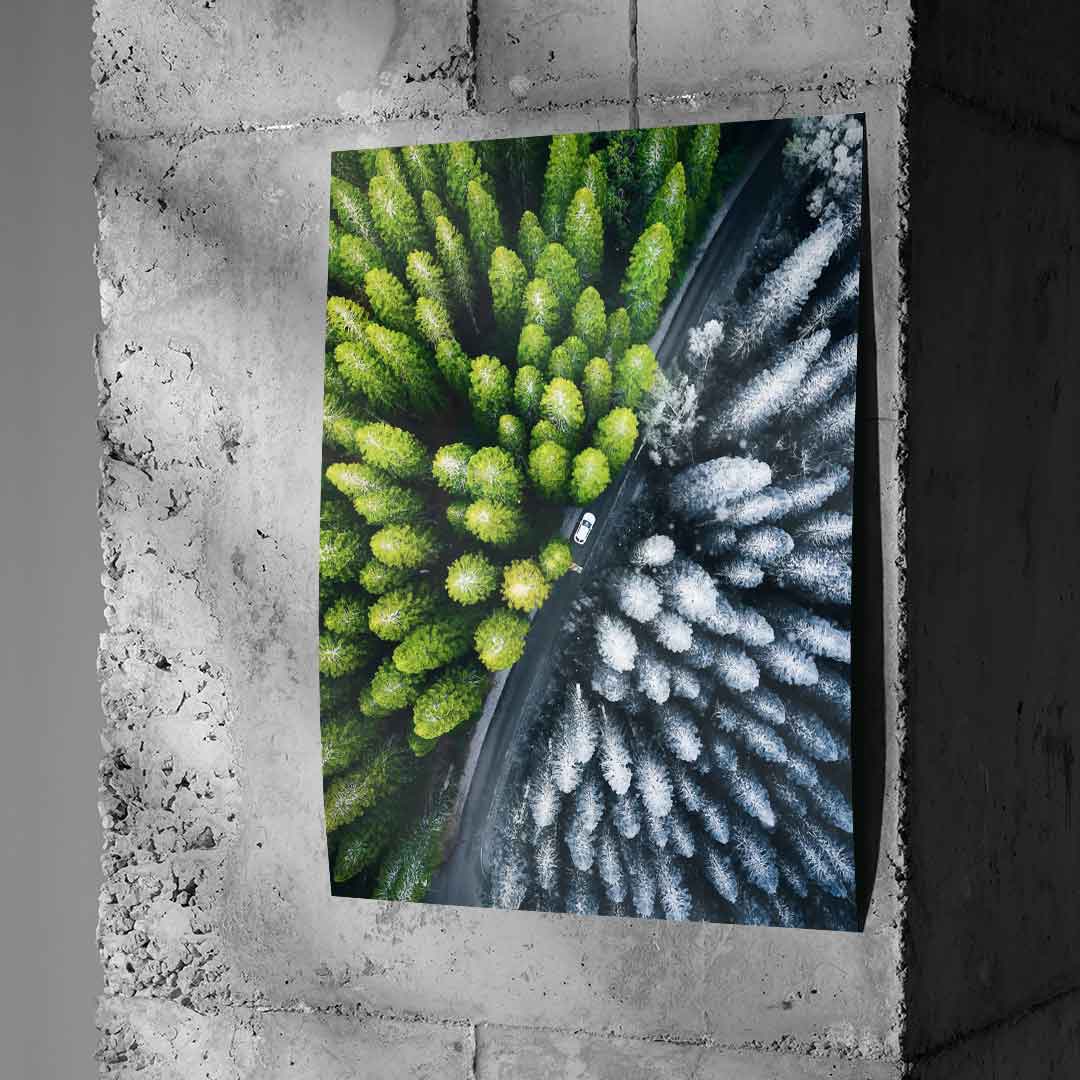 The Contrast - Poster