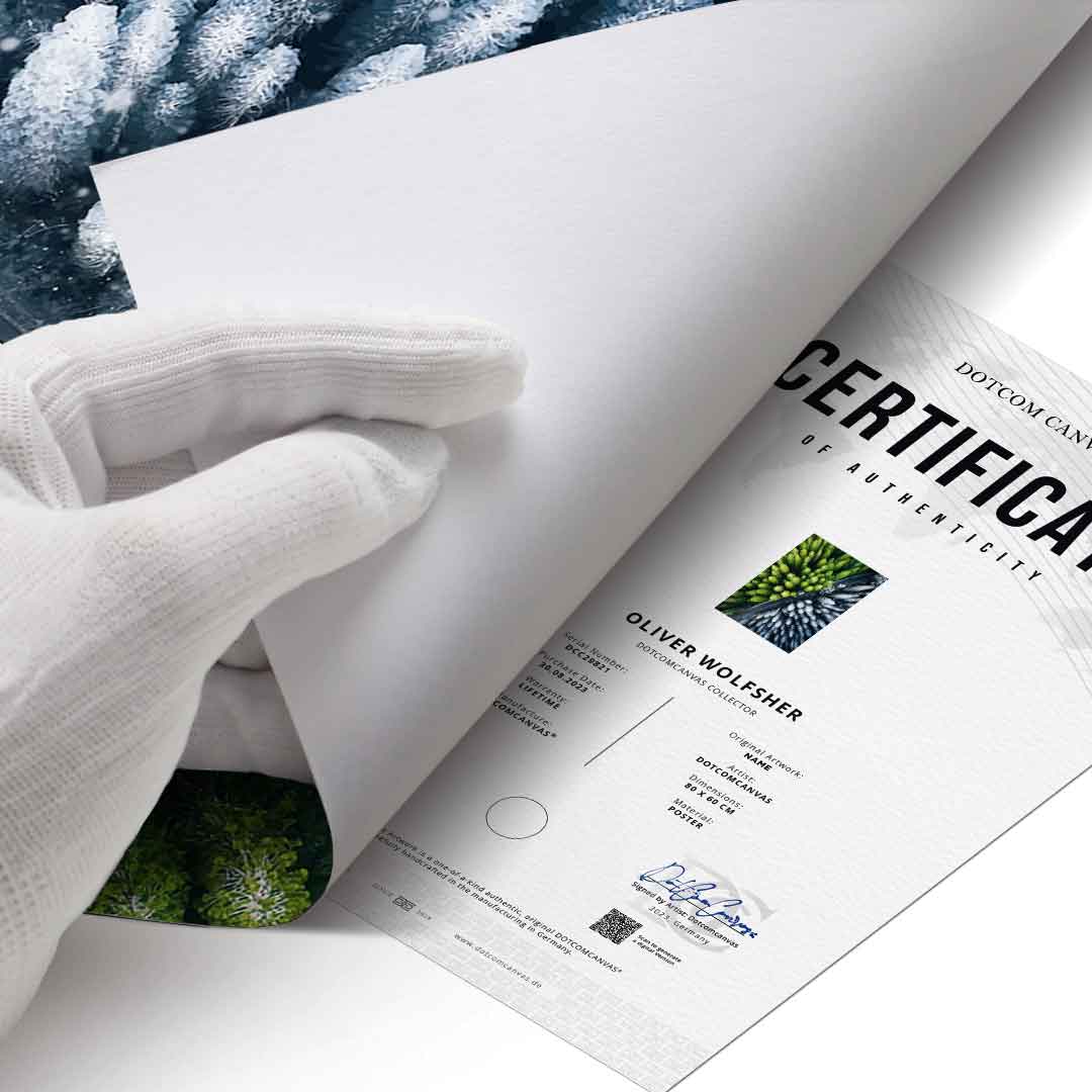 The Contrast - Poster