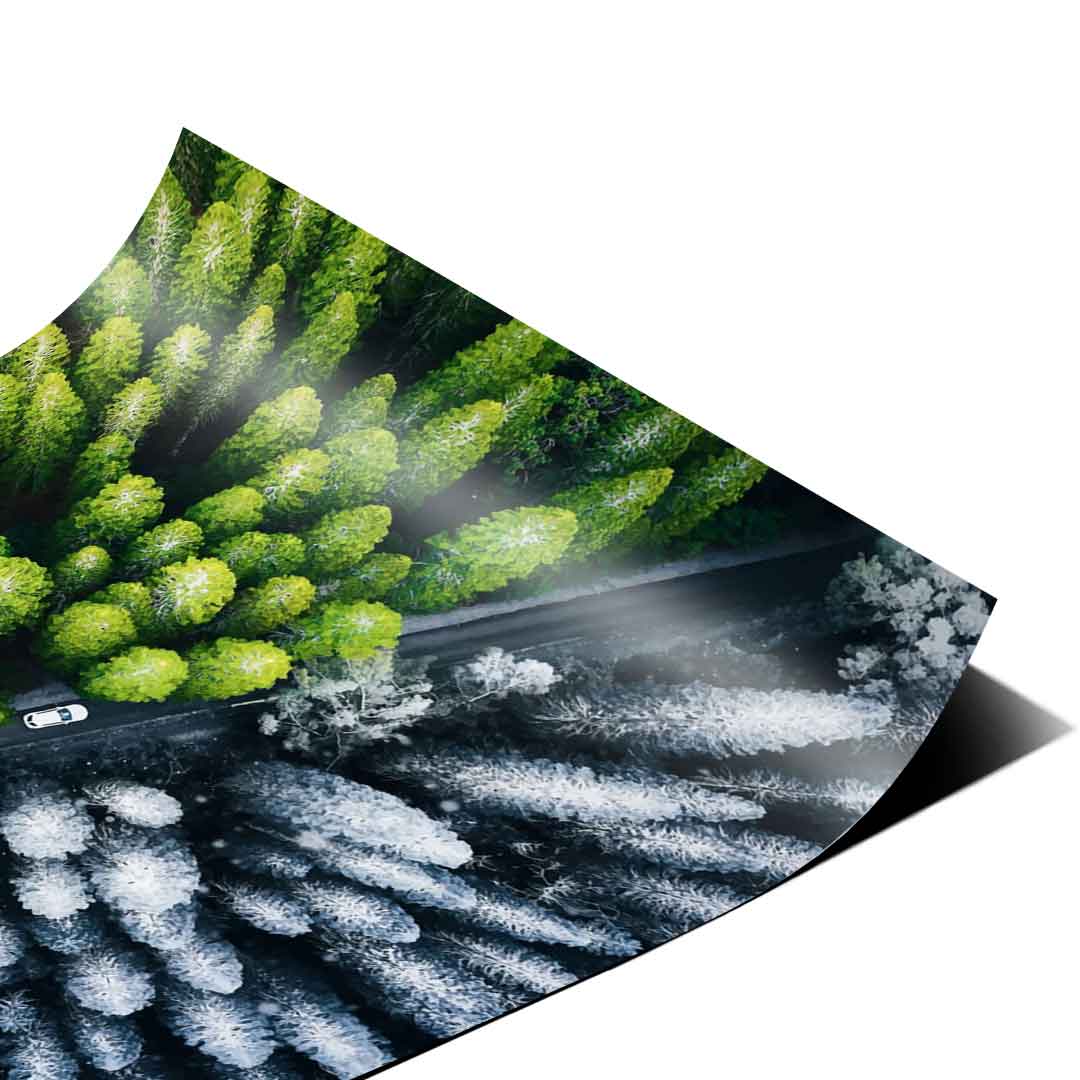 The Contrast - Poster