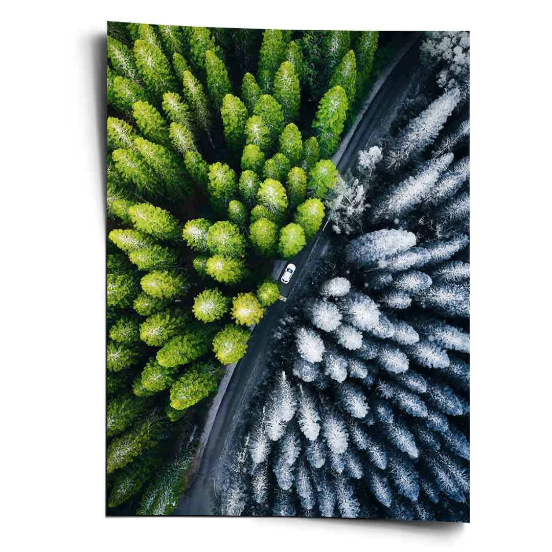 The Contrast - Poster