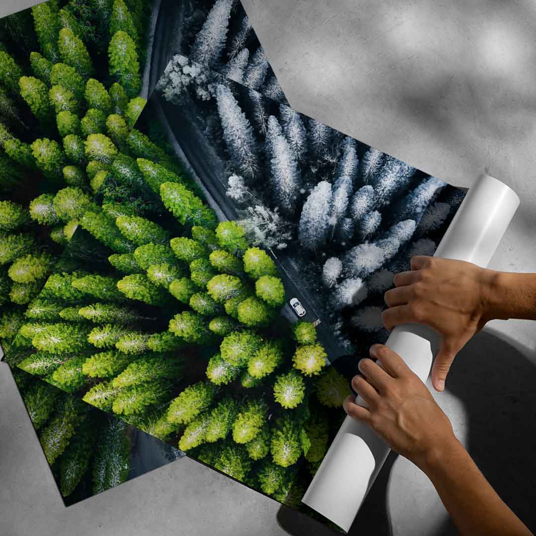 The Contrast - Poster