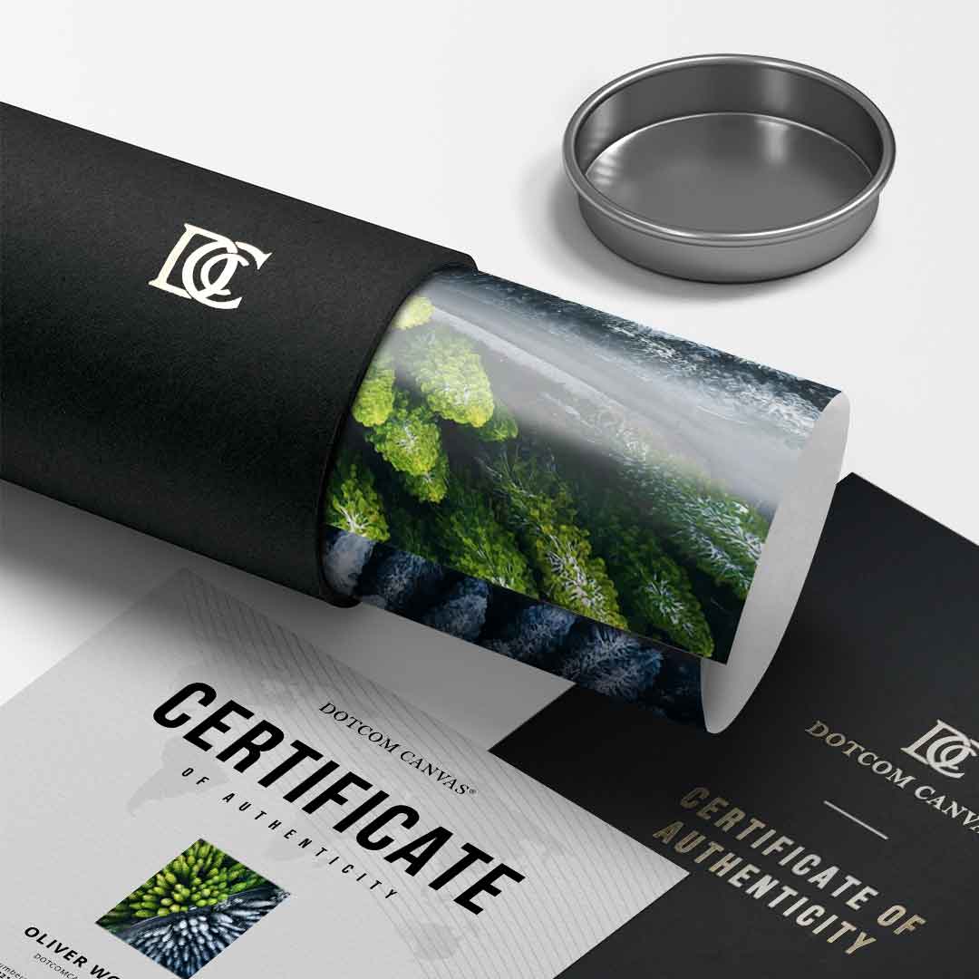 The Contrast - Poster