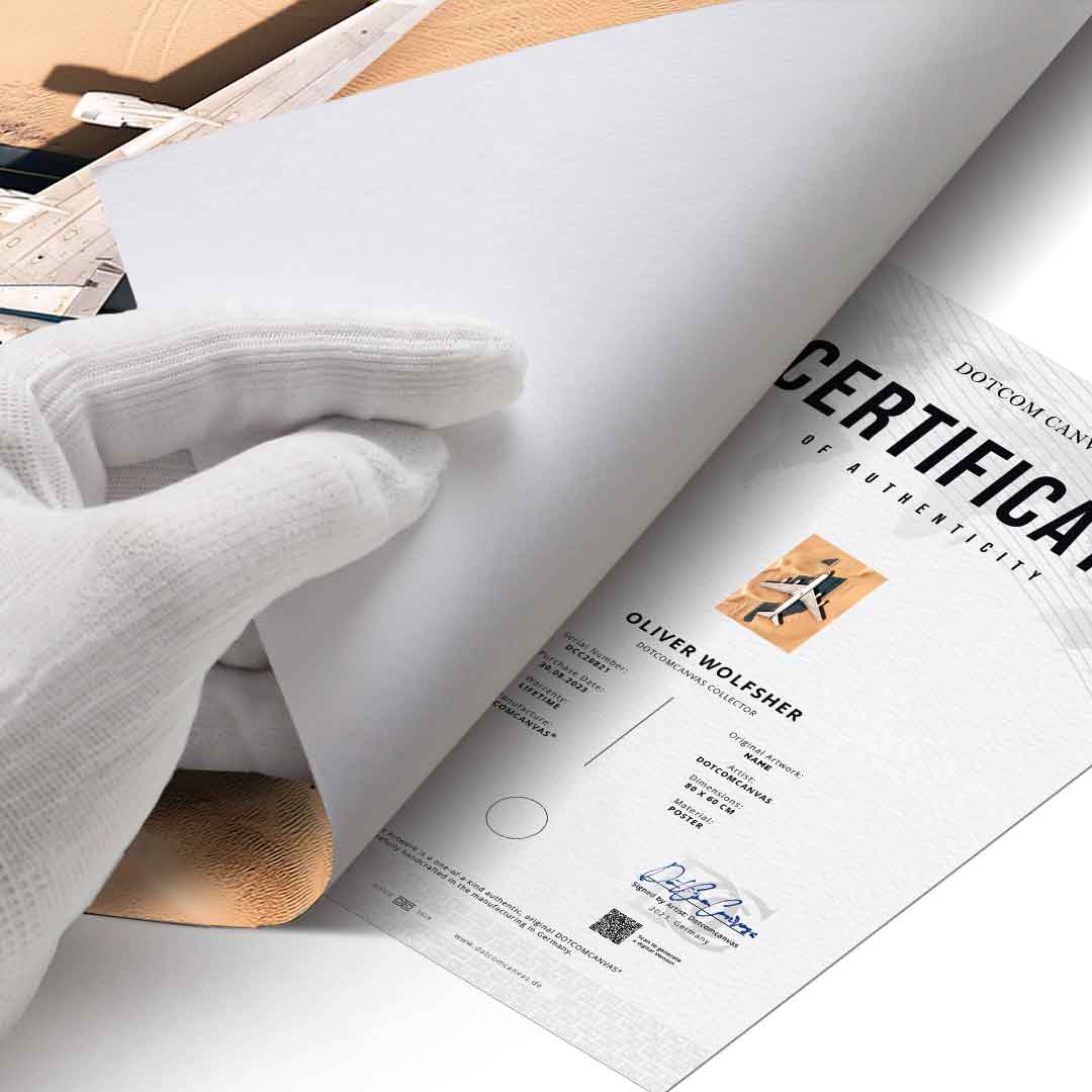 Desert Plane - Poster