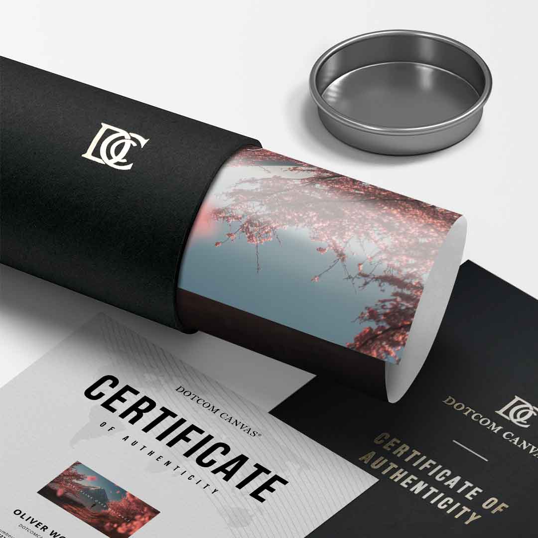 Discipline over Distance - Poster