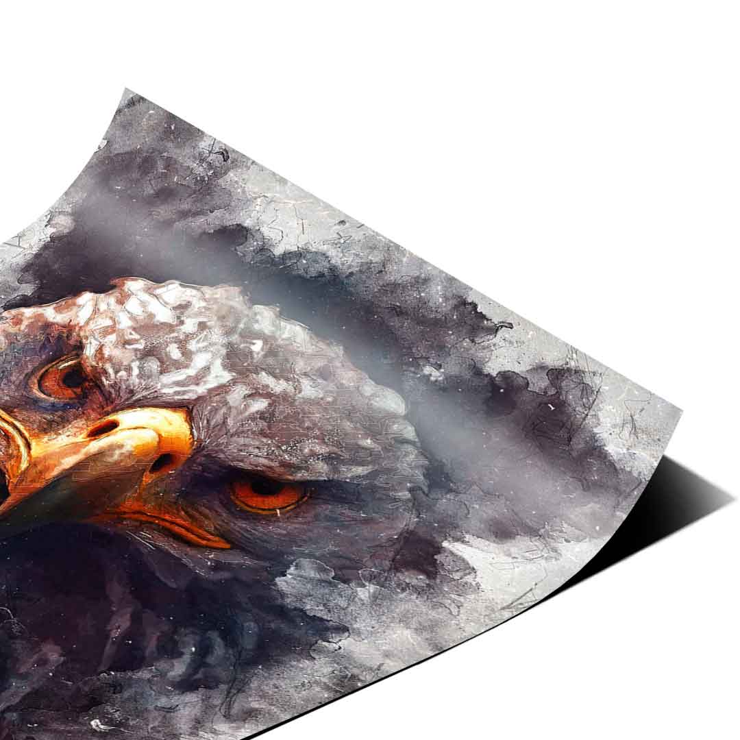 Eagle Portrait - Poster