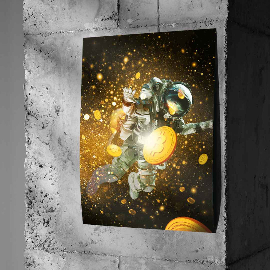 FLY LIKE A BITCOIN - Poster