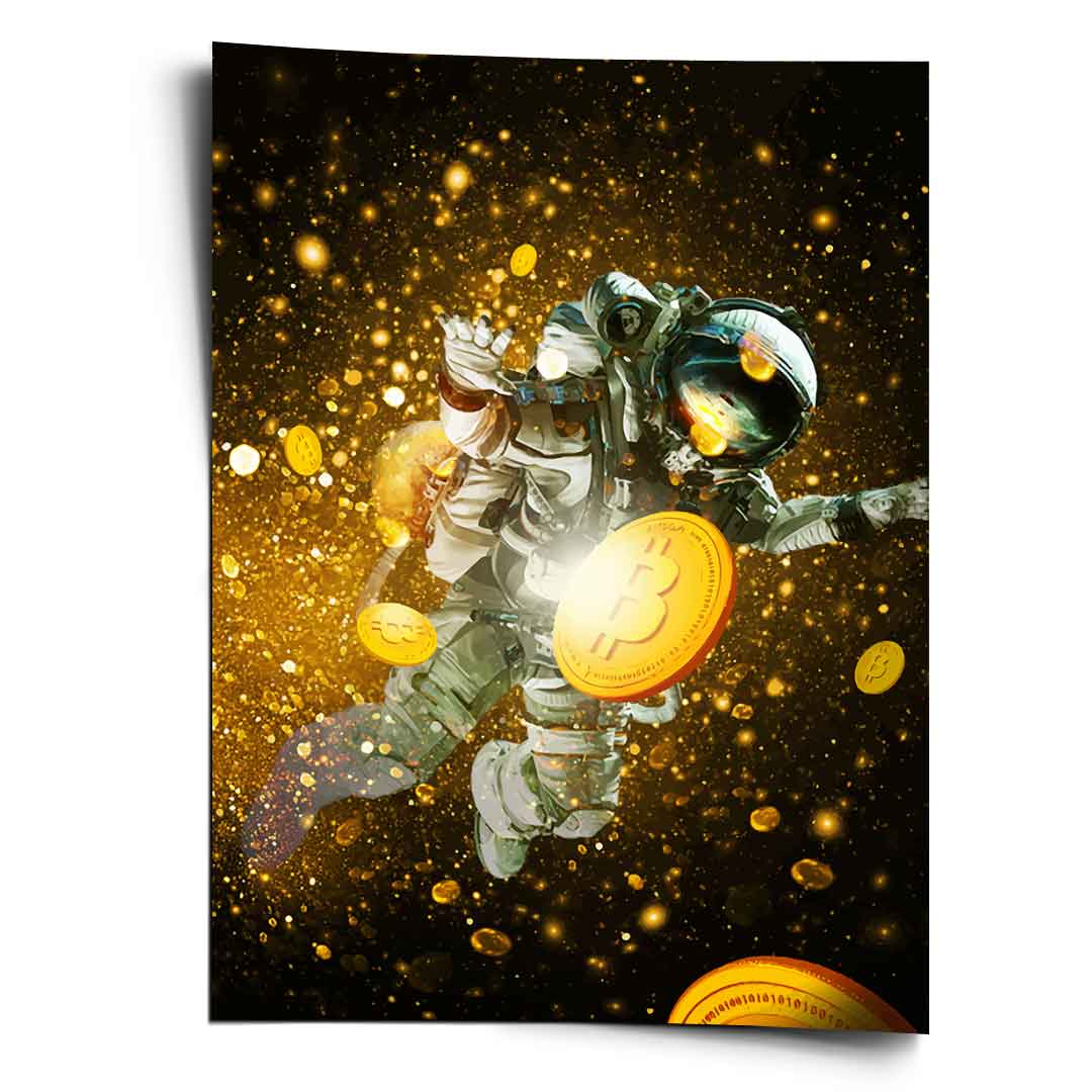 FLY LIKE A BITCOIN - Poster