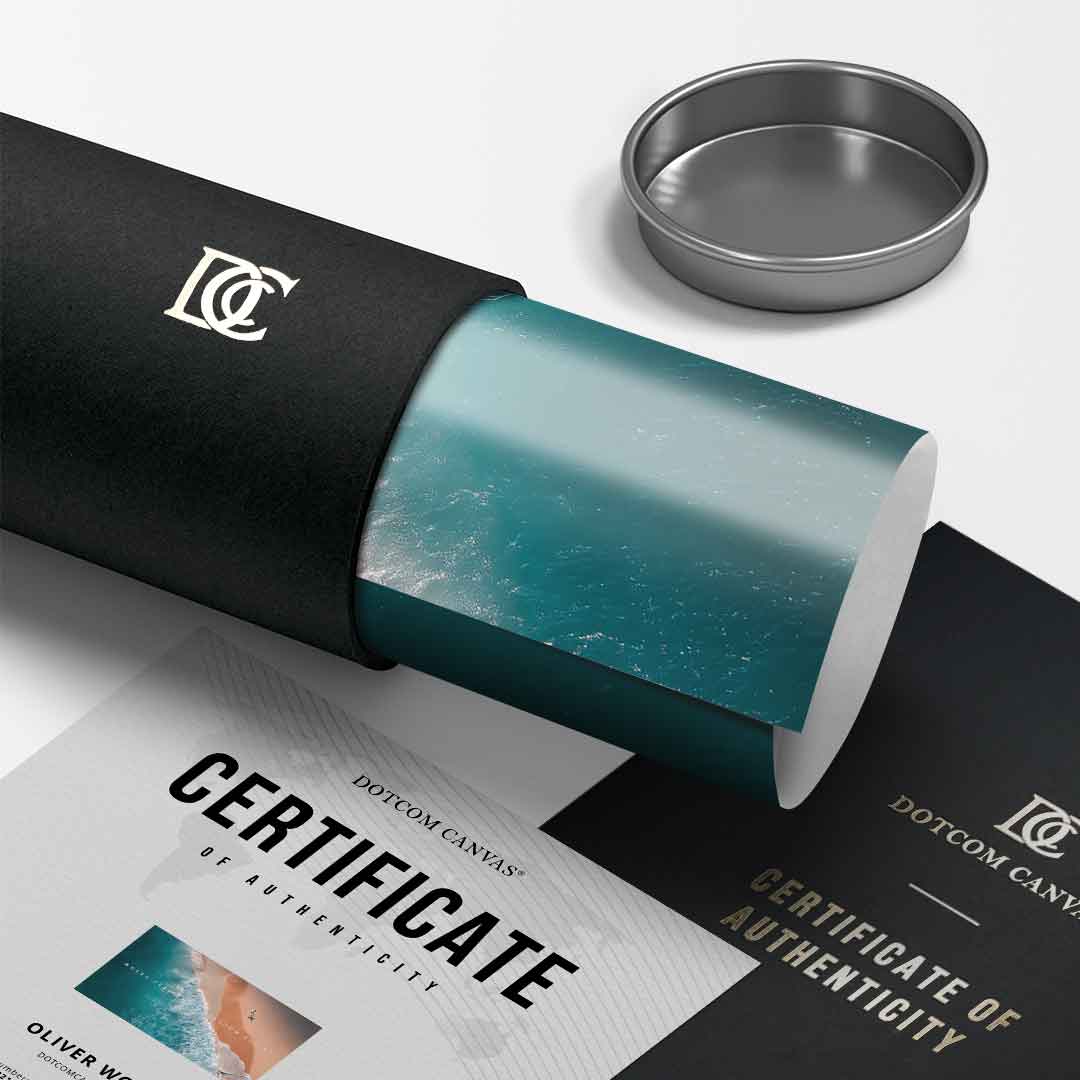 Freedom Begins - Poster