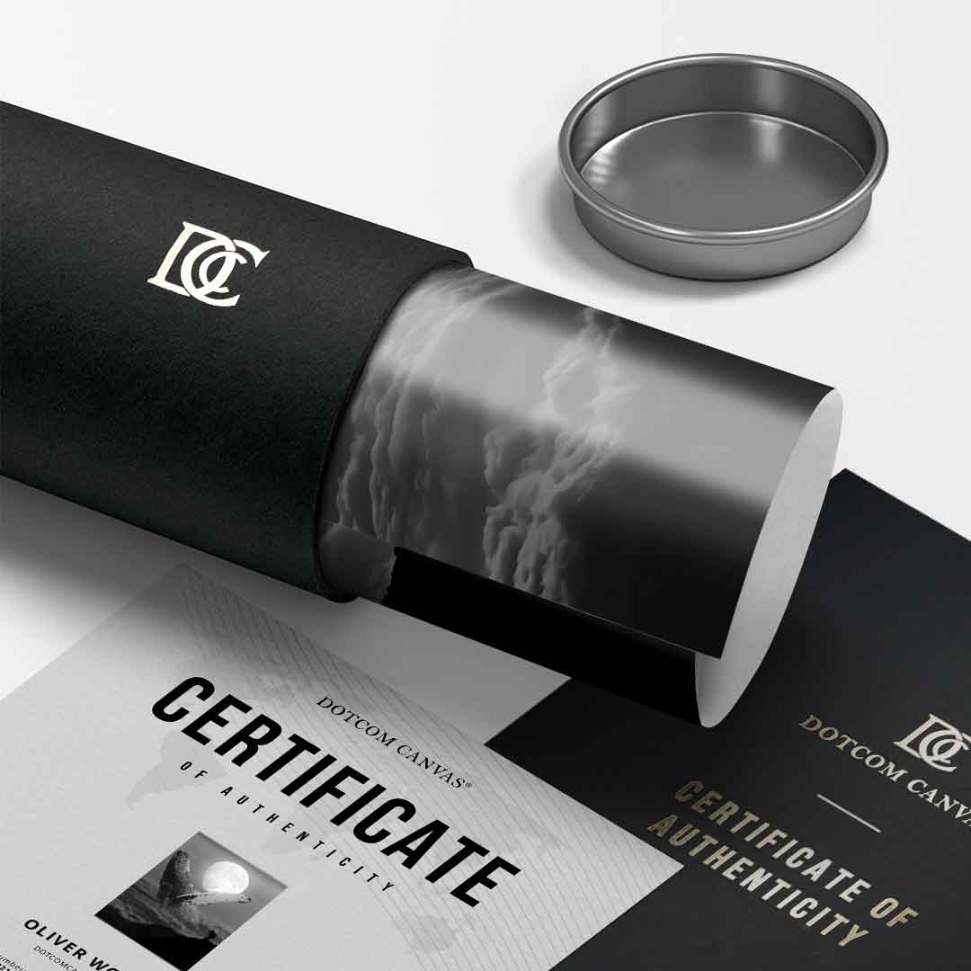 Freedom Wale - Poster