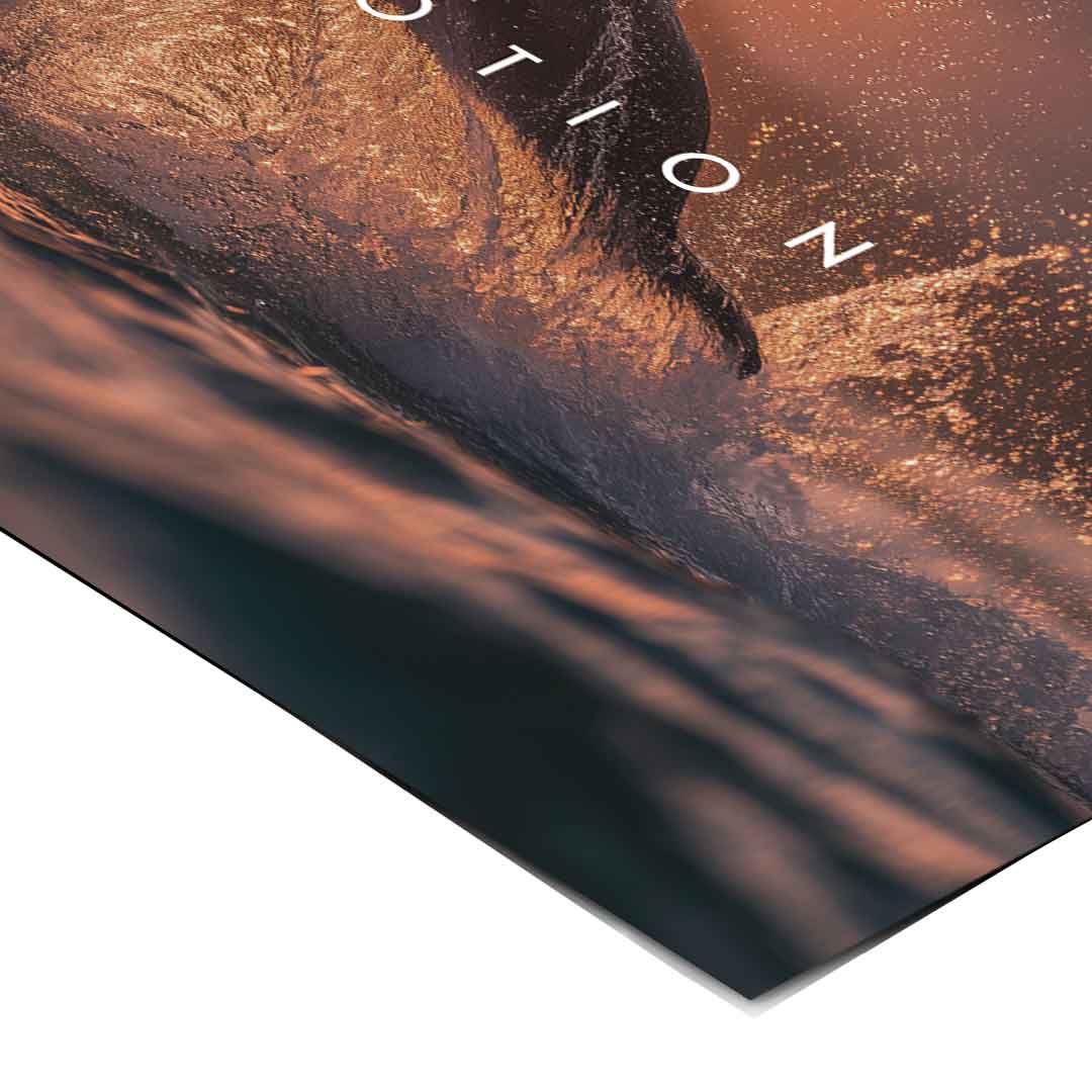 Freedom in Motion - Poster