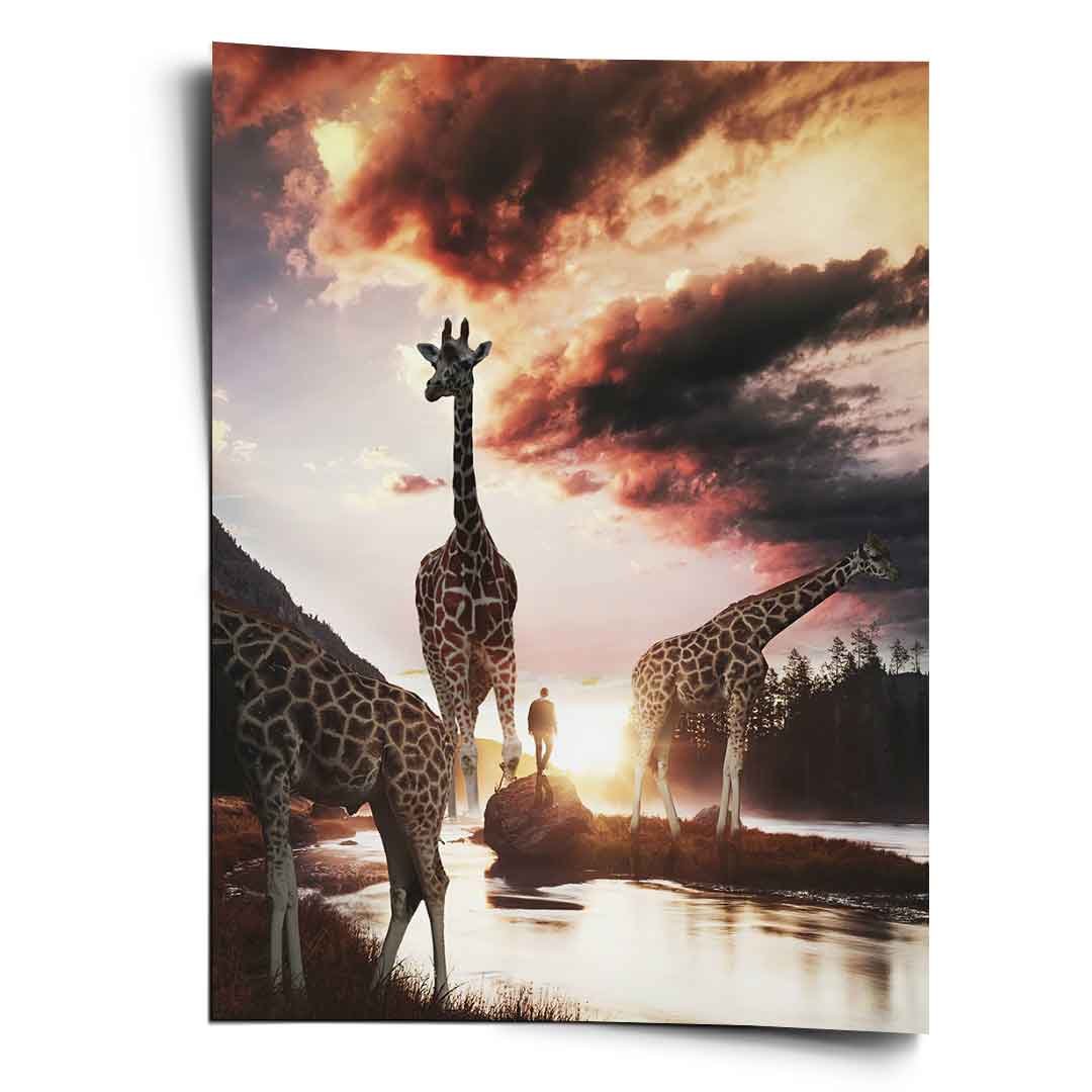 Giraffe Life - Poster