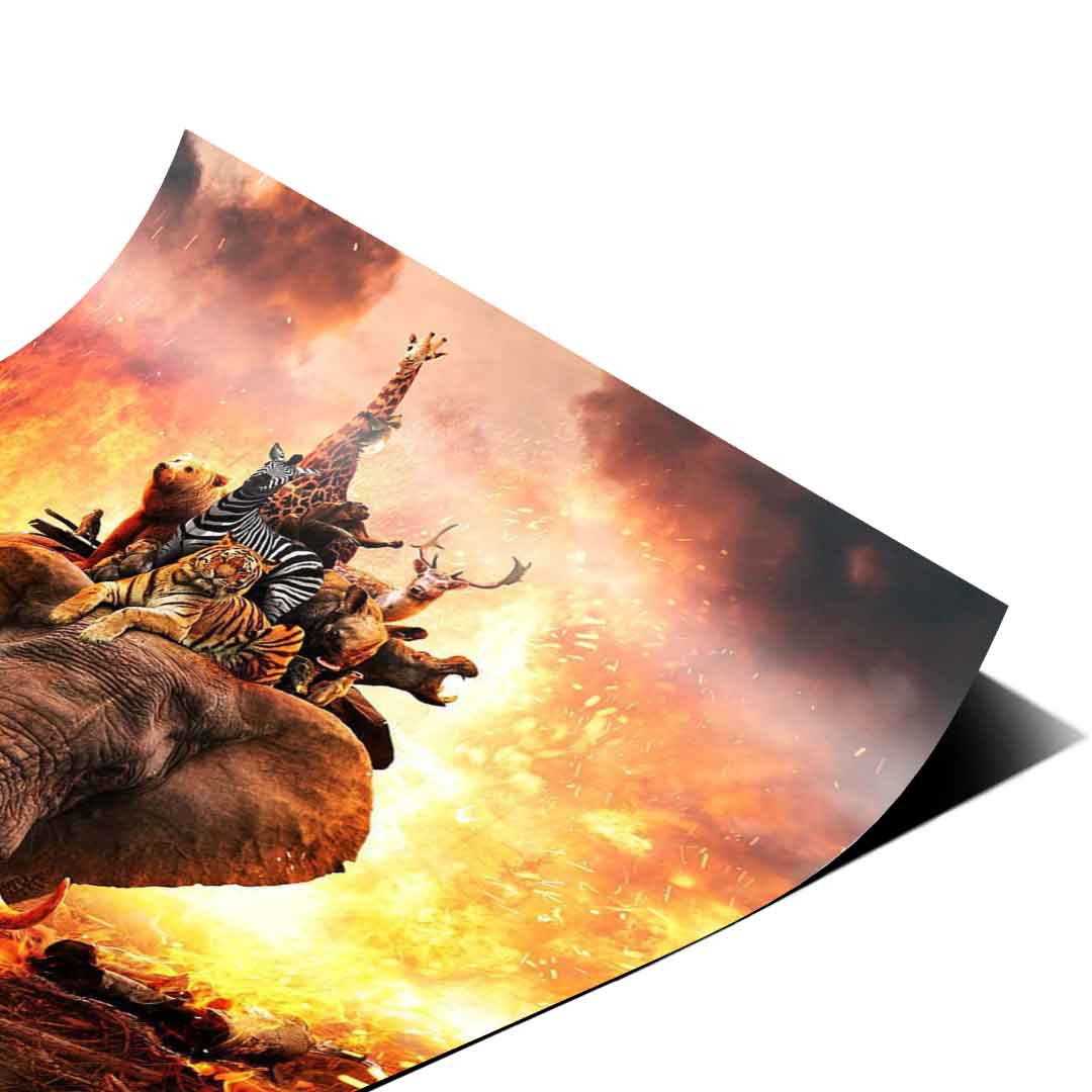 Hard Animal Life - Poster