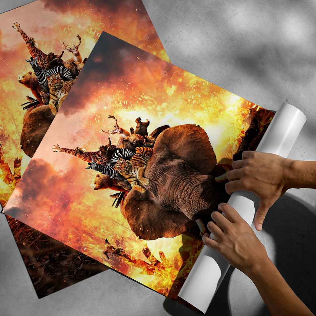 Hard Animal Life - Poster