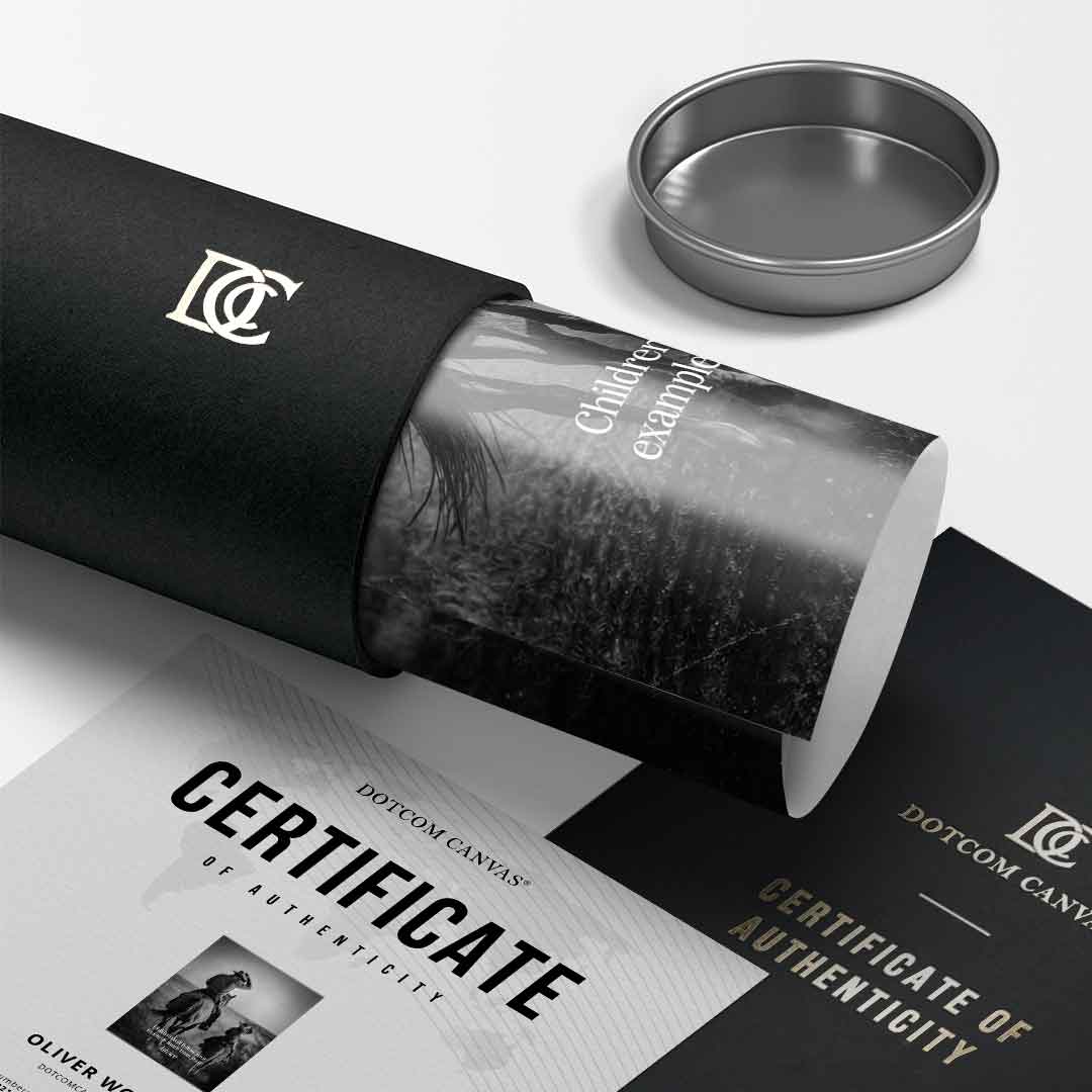 Little Follower - Poster