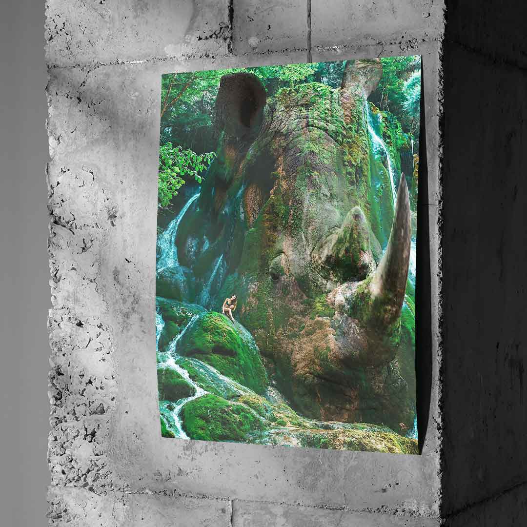 Nashorn Nature - Poster