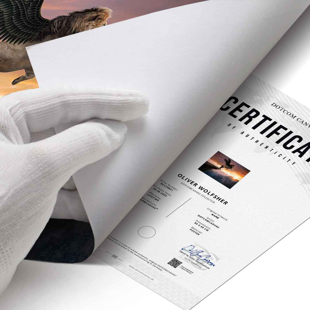 No Limit Mindset - Poster