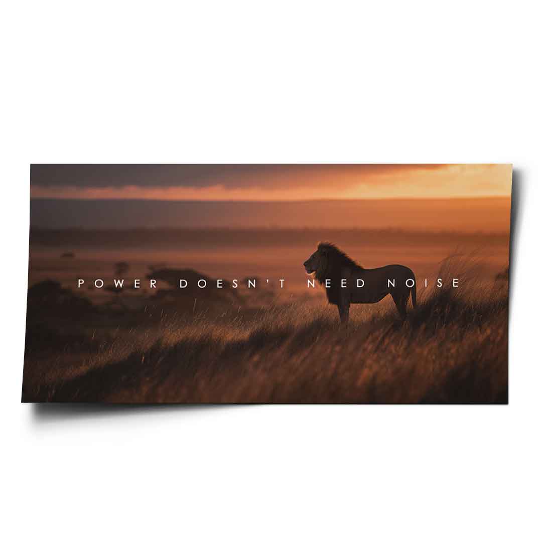 Power Doesn't Need Noise - Poster