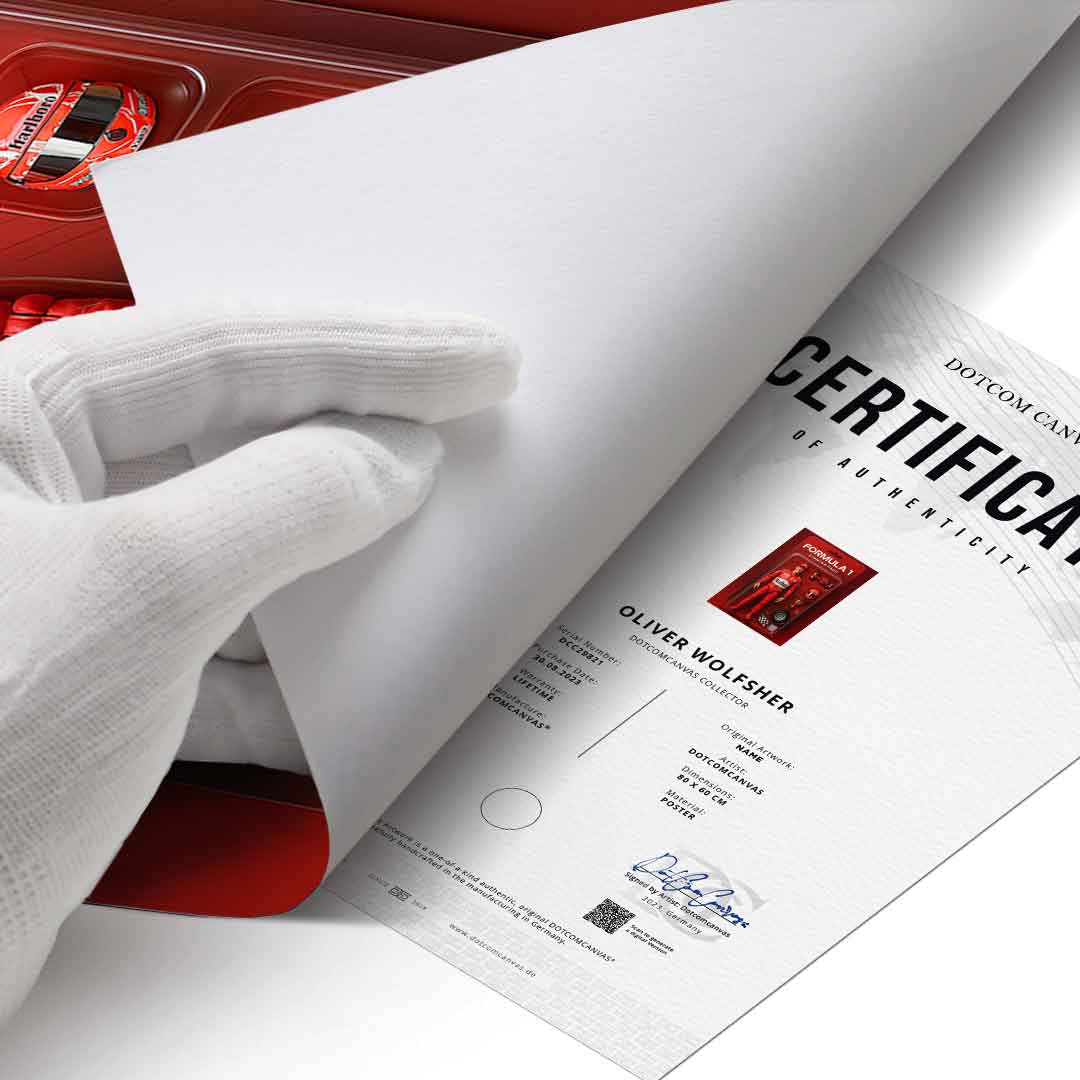 Starter Pack FORMULA 1 - Posters