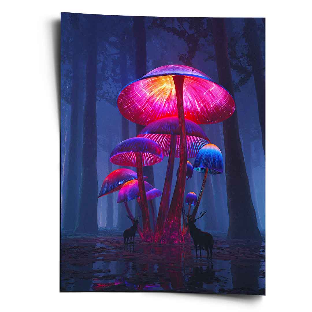 The Magic Shrooms - Poster