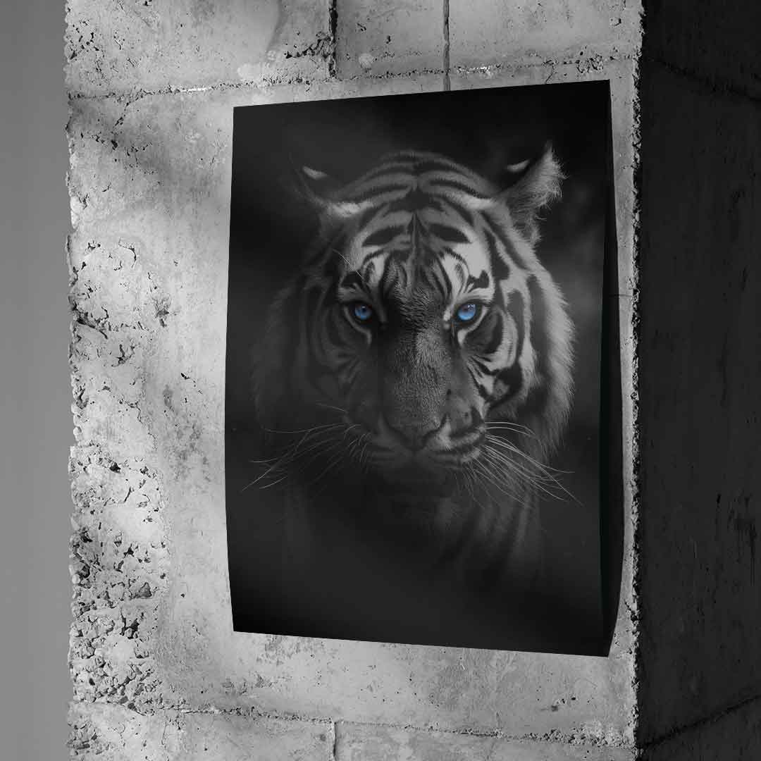 Tiger - poster