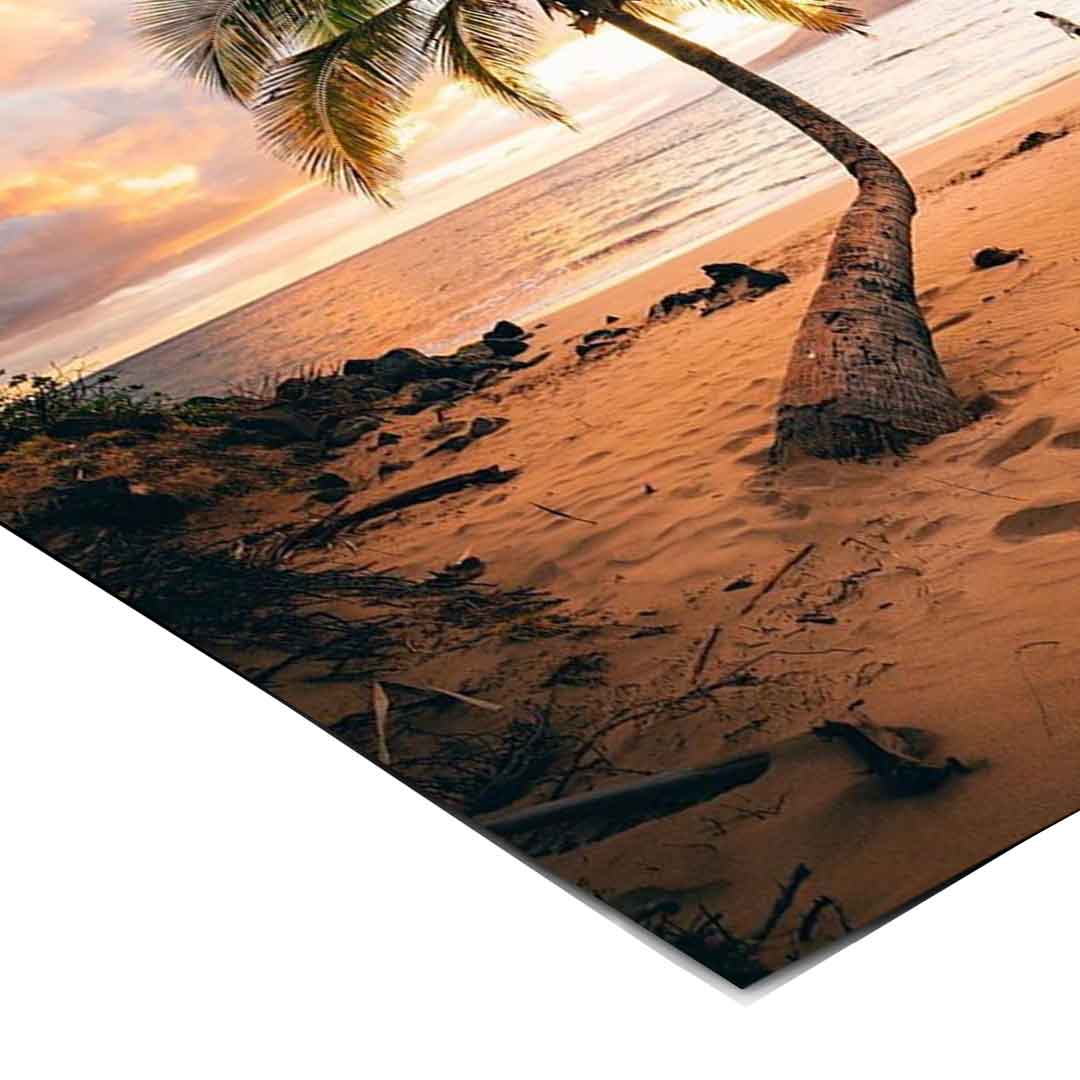 Tropical Sunset - Poster