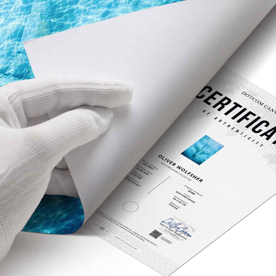 Underwater Plane - Poster