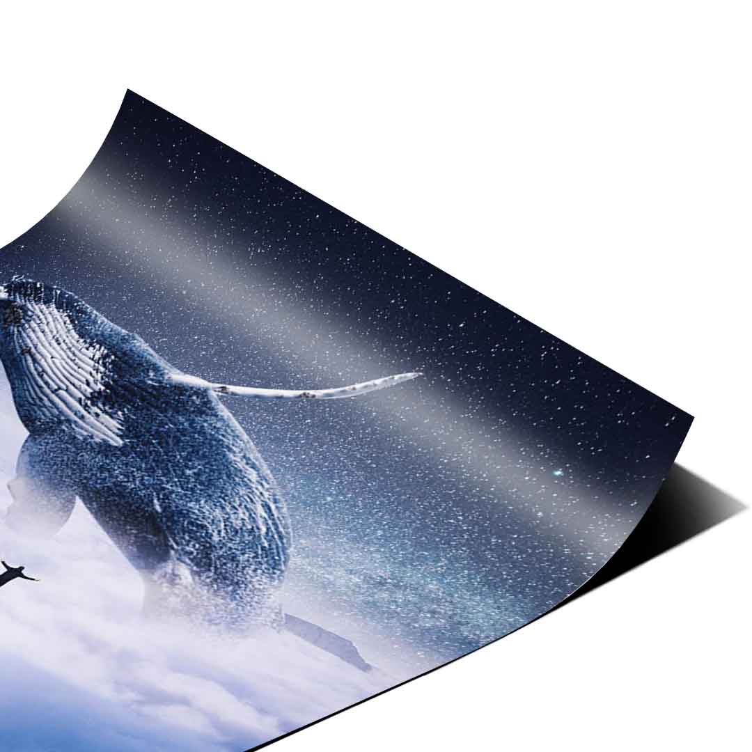 Whales in Sky poster