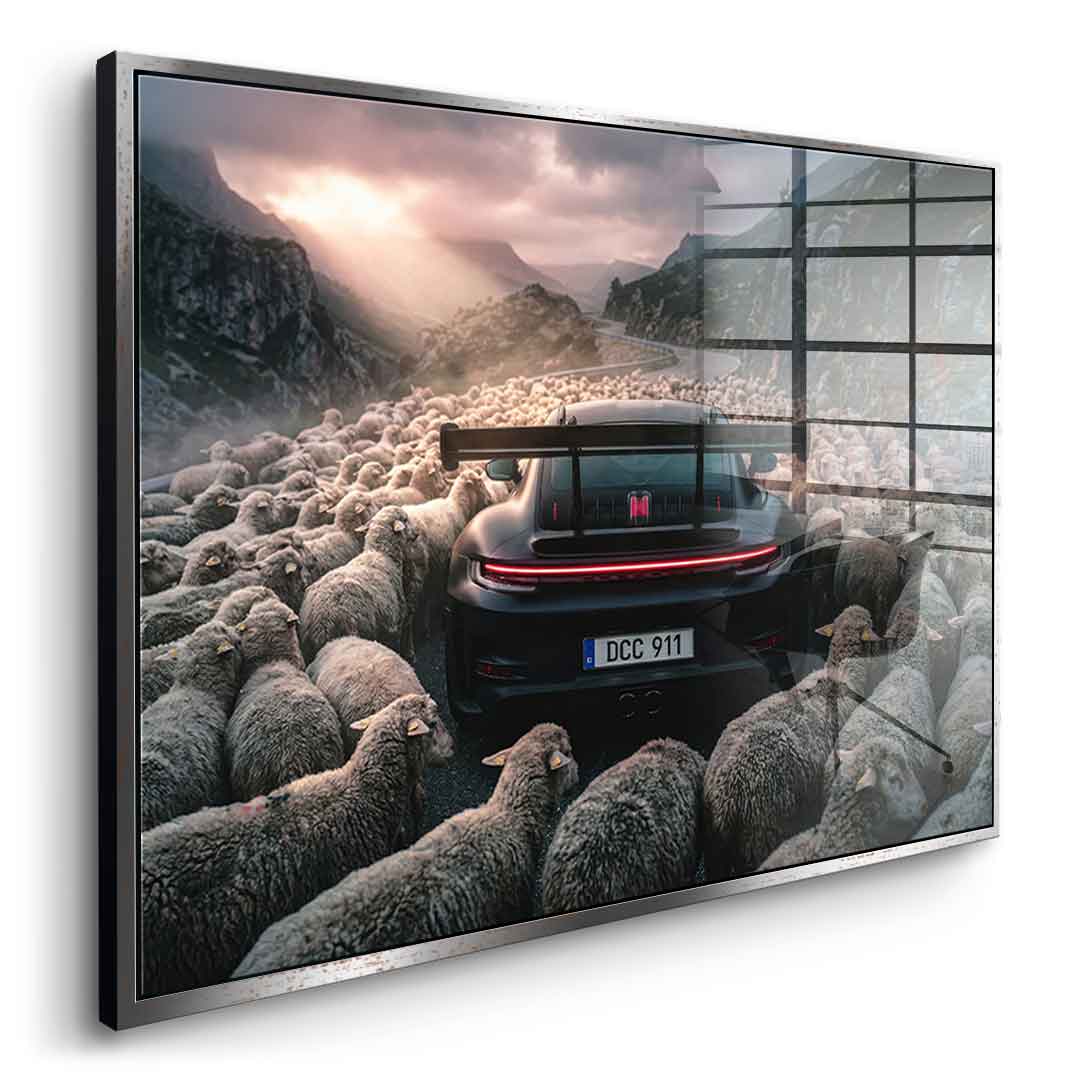Porshe & Sheeps Acrylglasbild Seitenansicht gold