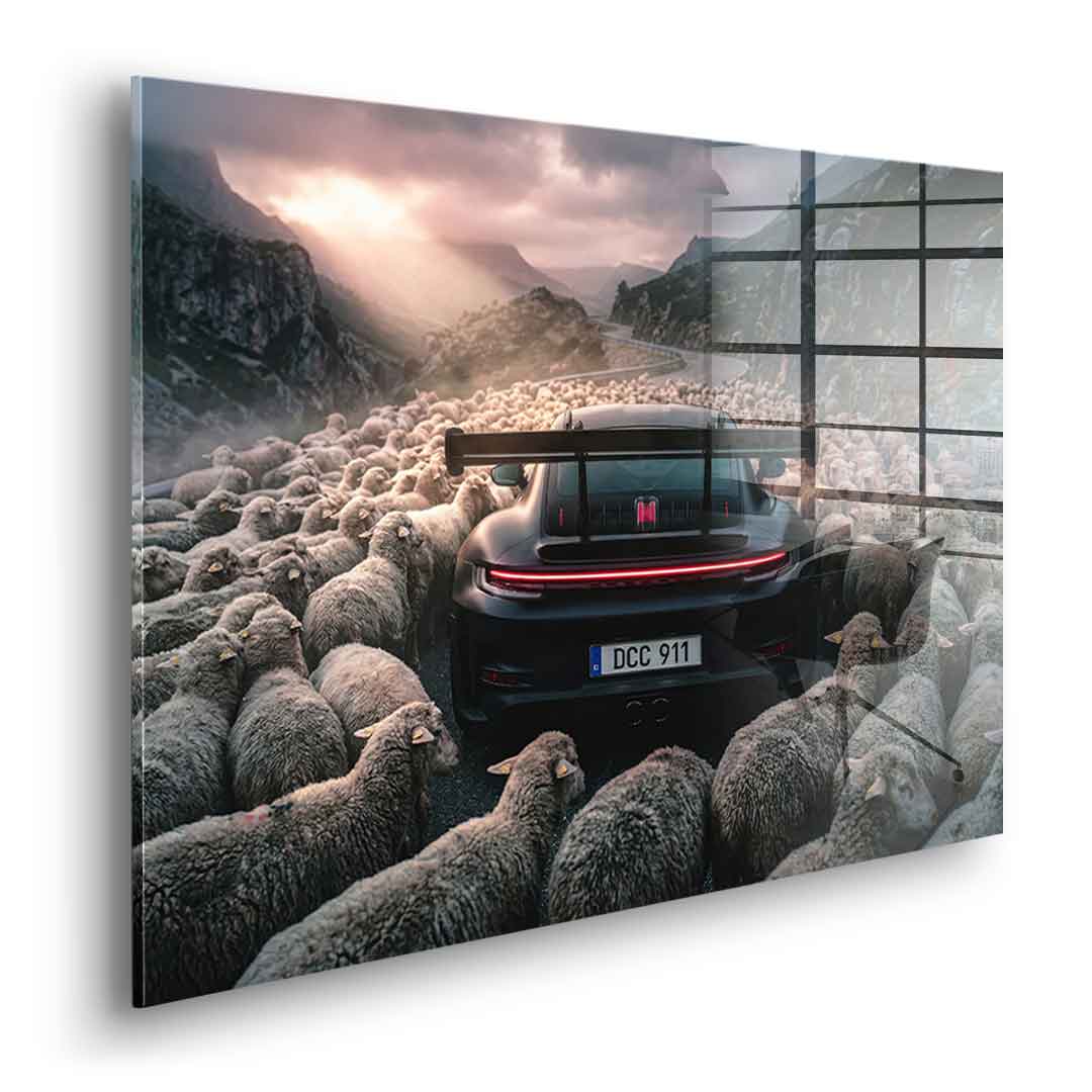 Porshe & Sheeps Acrylglasbild Seitenansicht ohne Rahmen