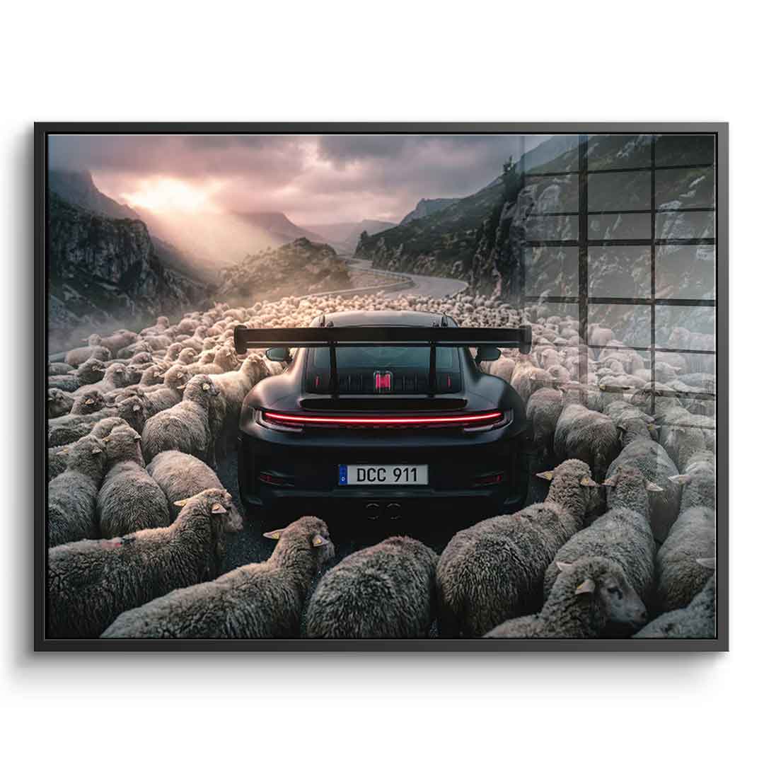 Porshe & Sheeps Acrylglasbild mit schwarzem Rahmen