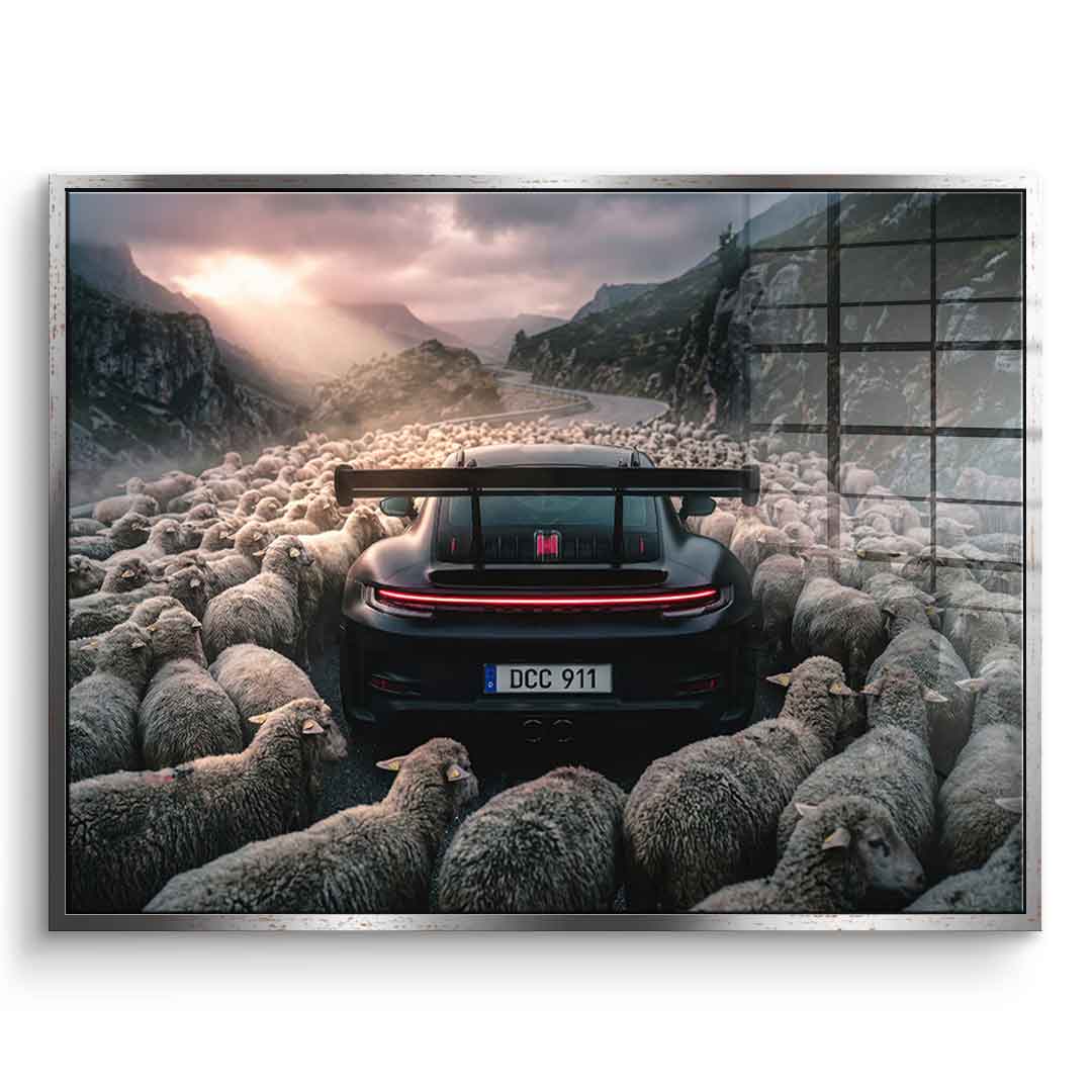 Porshe & Sheeps Acrylglasbild mit goldenem Rahmen