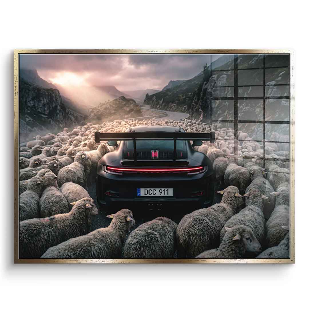 Porshe & Sheeps Acrylglasbild mit silbernem Rahmen