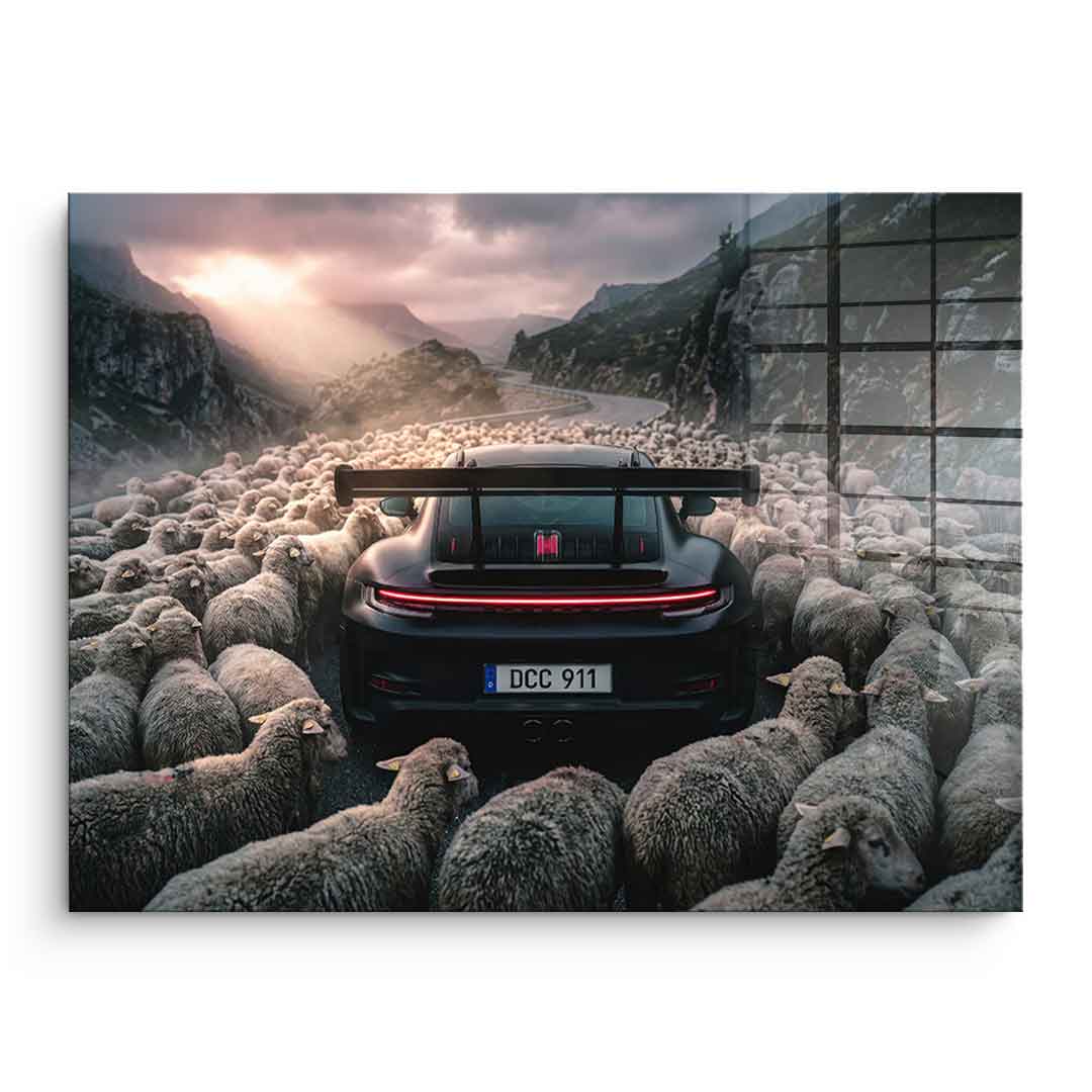 Porshe & Sheeps Acrylglasbild ohne Rahmen – schwarzer Sportwagen inmitten einer Schafherde auf Bergpass