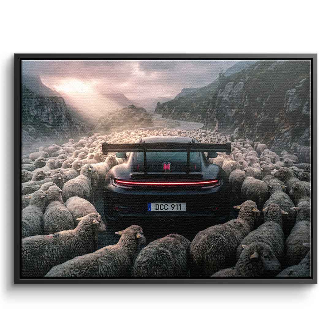 Porshe & Sheeps Leinwandbild mit schwarzem Rahmen