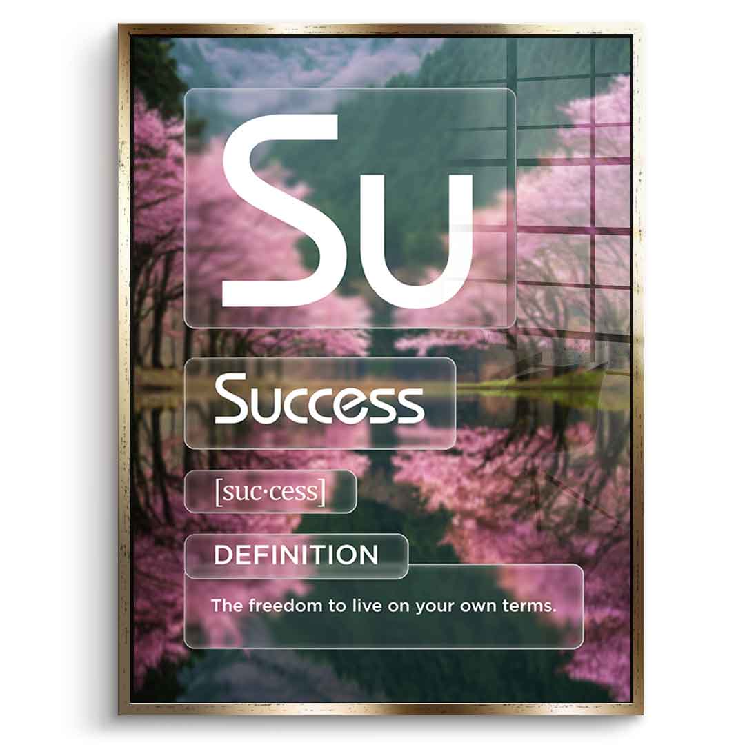 DOTCOMCANVAS® Success (Su) Acrylglasbild Version Farbig – Vorderansicht Silberner Rahmen