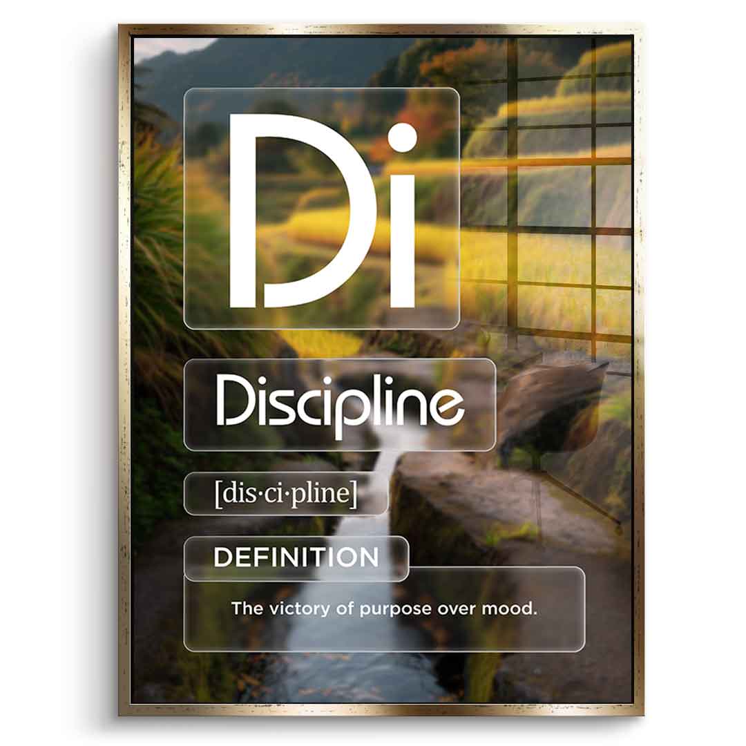 DOTCOMCANVAS® Discipline (Di) Acrylglasbild Version Farbig – Vorderansicht Silberner Rahmen